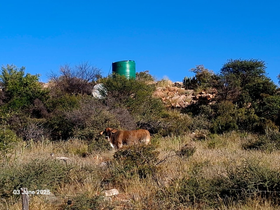 3 Bedroom Property for Sale in Olifantshoek Northern Cape